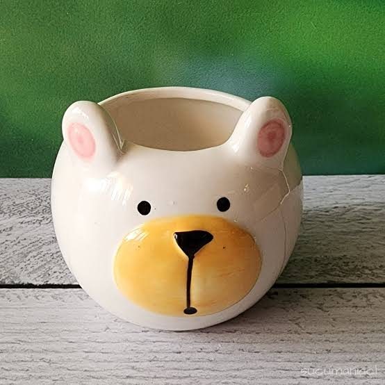 MACETA OSO